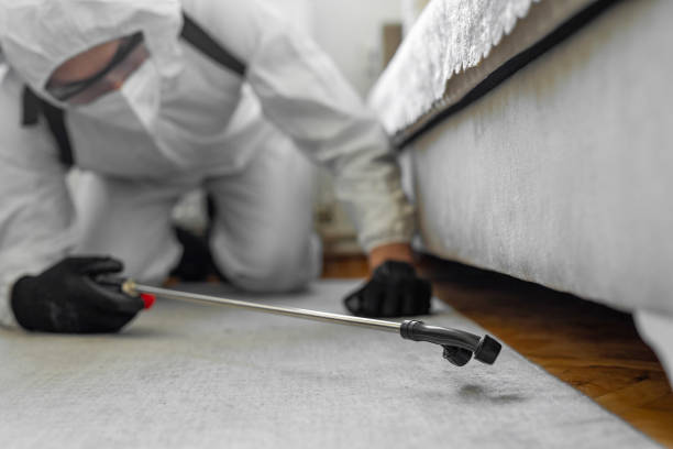 Professional Bed Bug Control technician working in Estell Manor, NJ
