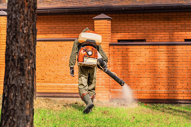 Trusted Bed Bug Control service in Estell Manor, NJ - Nex Pest Control